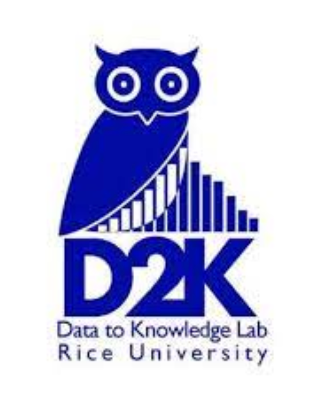 DEEP Mentorship Program - Rice D2K Lab logo