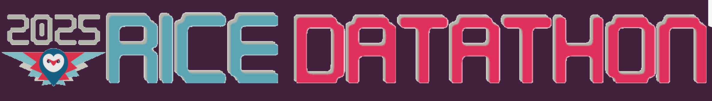 Rice Datathon 2025 logo
